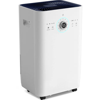 125-Pint 8,500 sq. ft. Commercial Grade Dehumidifiers with Pump - Bansa Rose