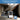 250 pt. 8,000 sq.ft. Commercial Dehumidifier - Bansa Rose